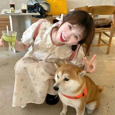 猫侍