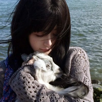 犹太狮子
